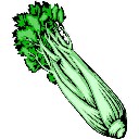 celery